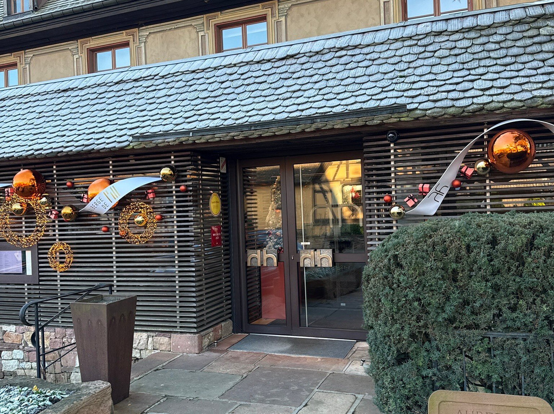 Hôtel Des Berges主图