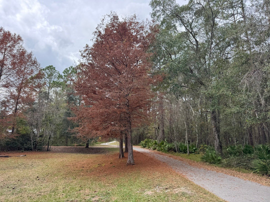 Jacksonville-Baldwin Rail Trail-杰克逊维尔必去景点