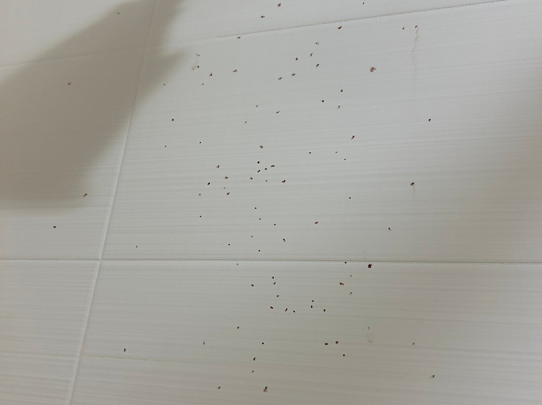 Residence Inn by Marriott Williamsburg主图