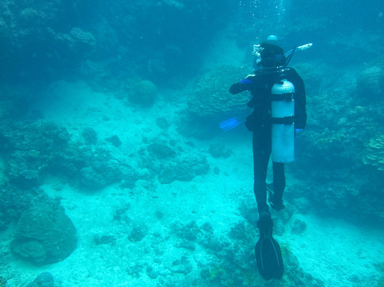 Quicksilver Dive-道格拉斯港必去景点