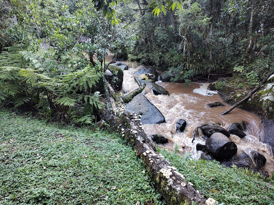 Pousada Solar d'Araucaria主图