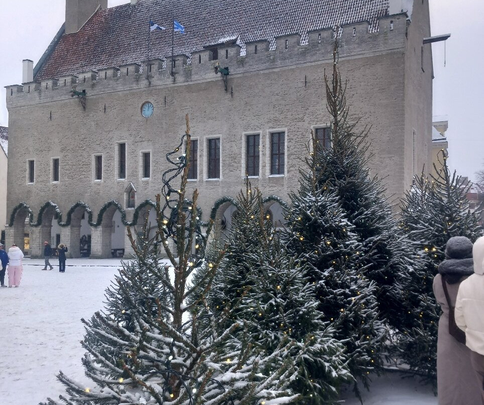 市政厅广场-塔林必去景点