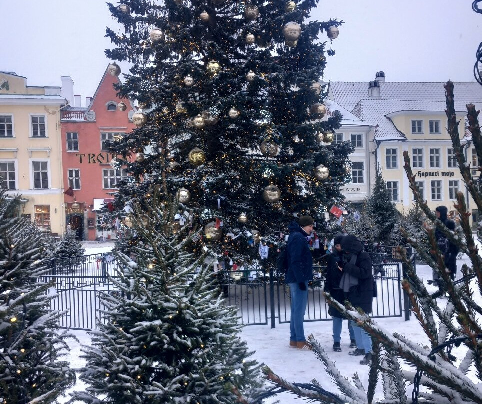 市政厅广场-塔林必去景点