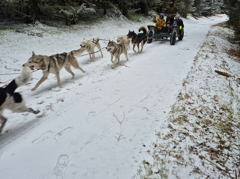 Njalla Mushing-Rupt-sur-Moselle必去景点