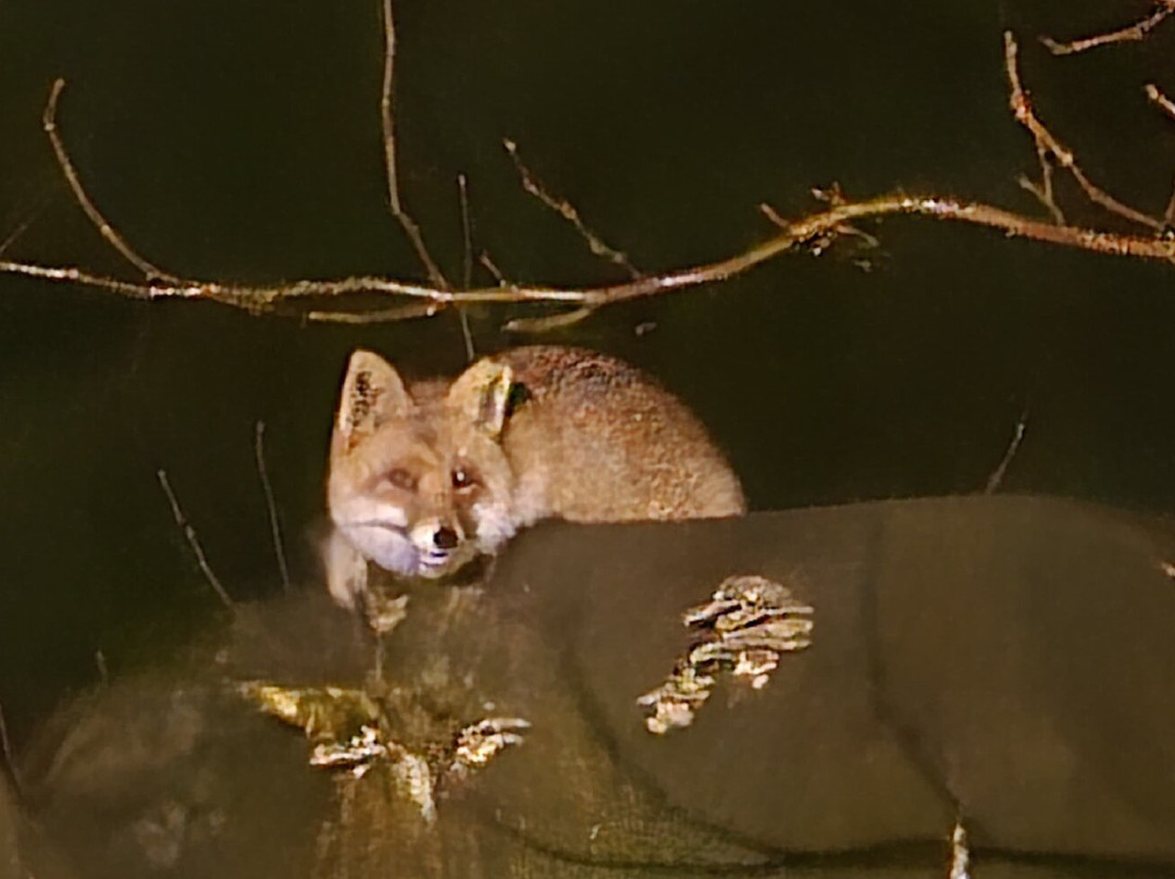 Les Animaux et Marino-Saint-Andiol必去景点