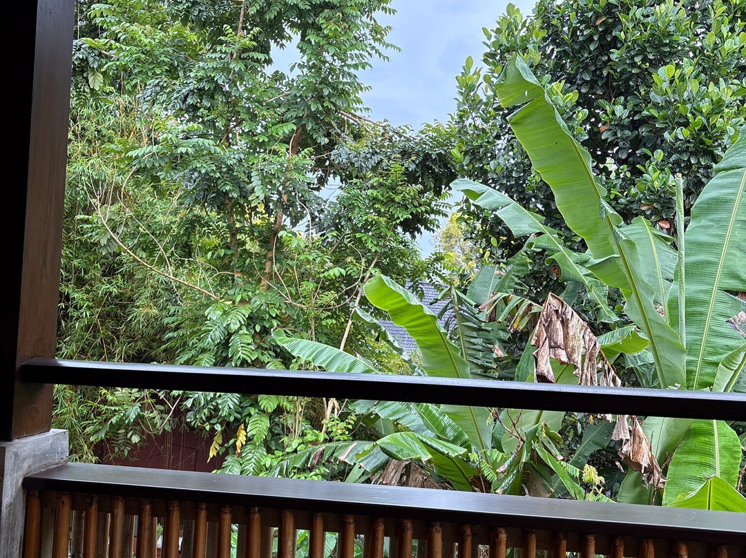 巴厘岛乌布DALA SPA-乌布必去景点