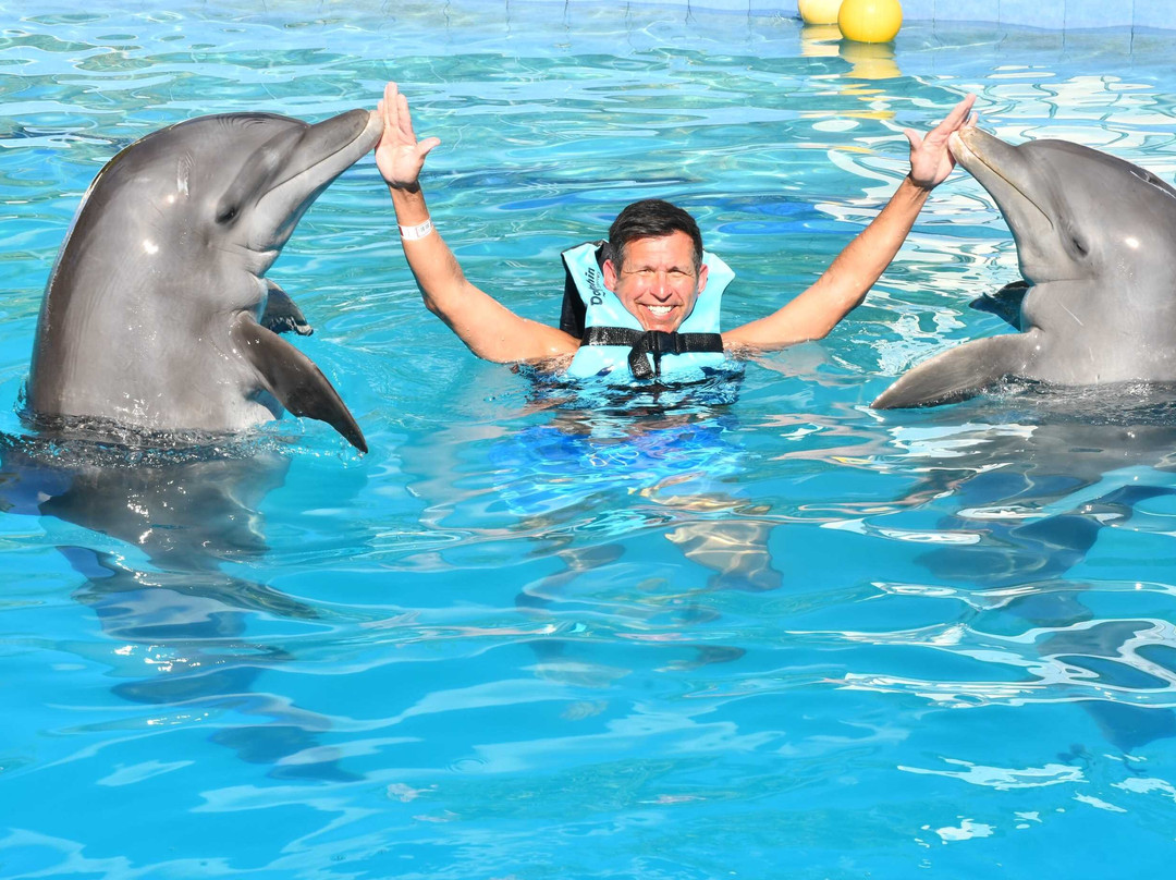 Dolphin Discovery Playa Del Carmen-普拉亚德尔卡曼必去景点