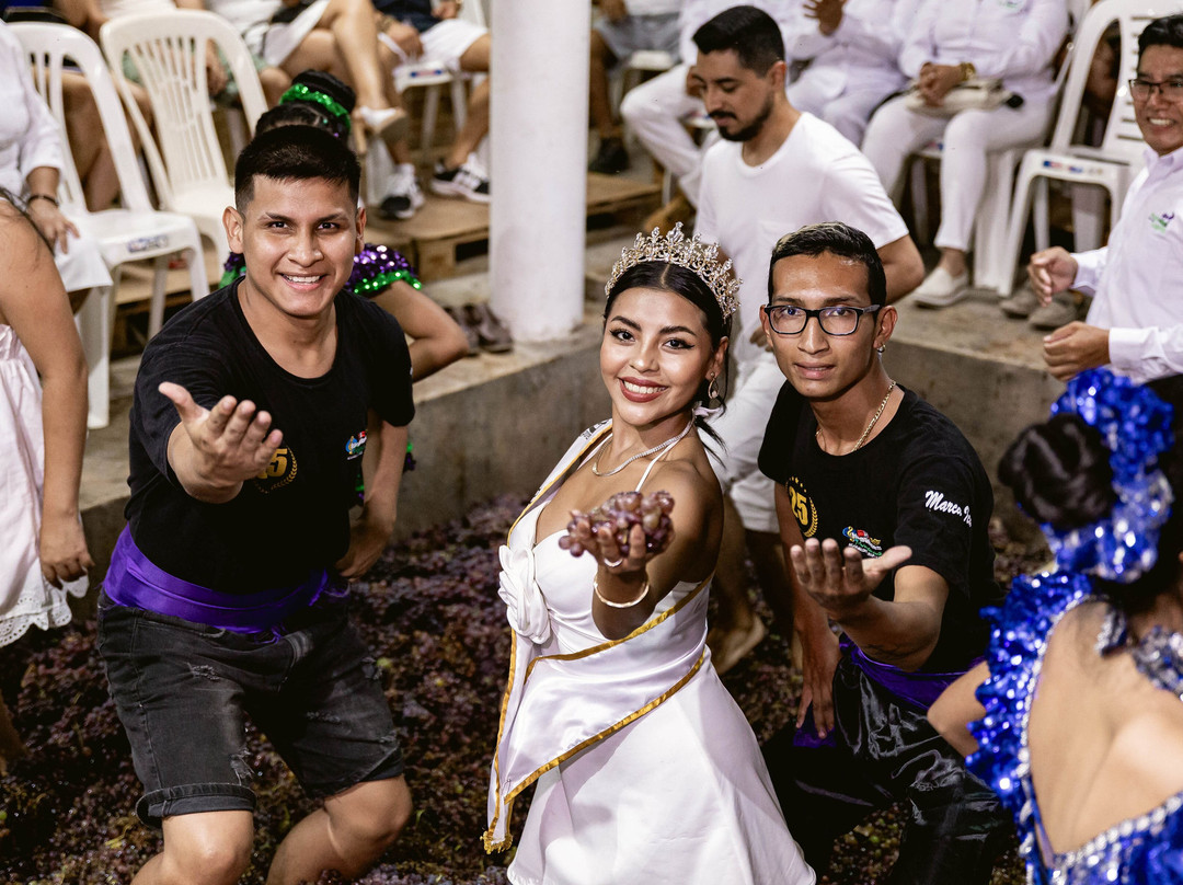 Bodega Y Viñedo Sotelo-伊卡必去景点