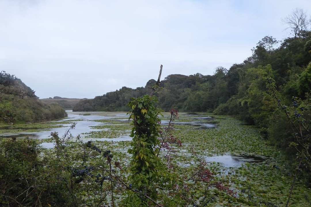 Lily Ponds-Bosherston必去景点