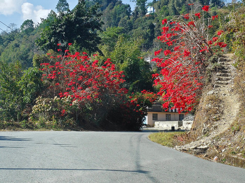 Heavenly Sikkim Holidays-甘托克必去景点