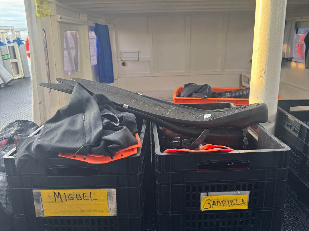 妈妈拍丝瓜岛维达海滩潜水中心-妈妈拍丝瓜岛必去景点