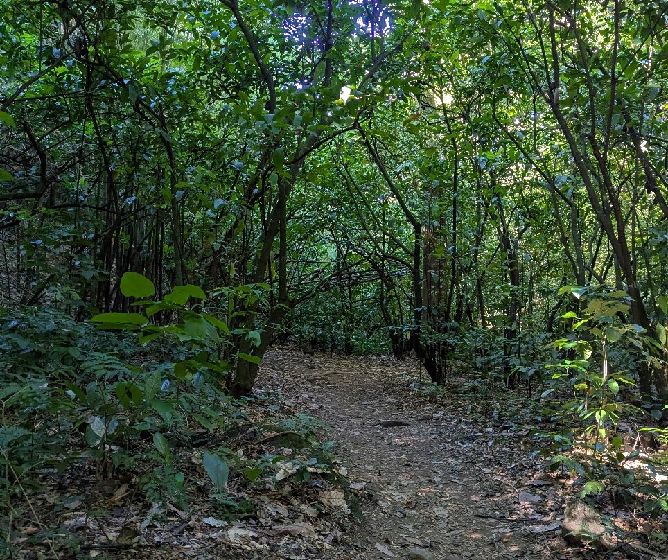 Cascade Couleuvre-Le Precheur必去景点