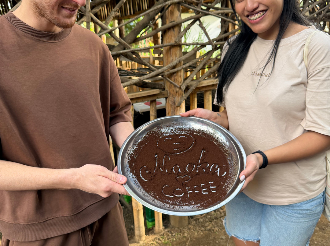 Mangalia Waterfalls-阿鲁沙必去景点