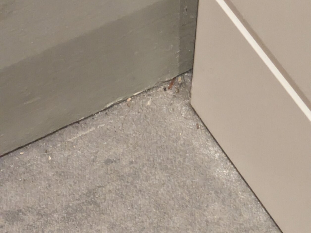 Premier Inn Frome Hotel主图