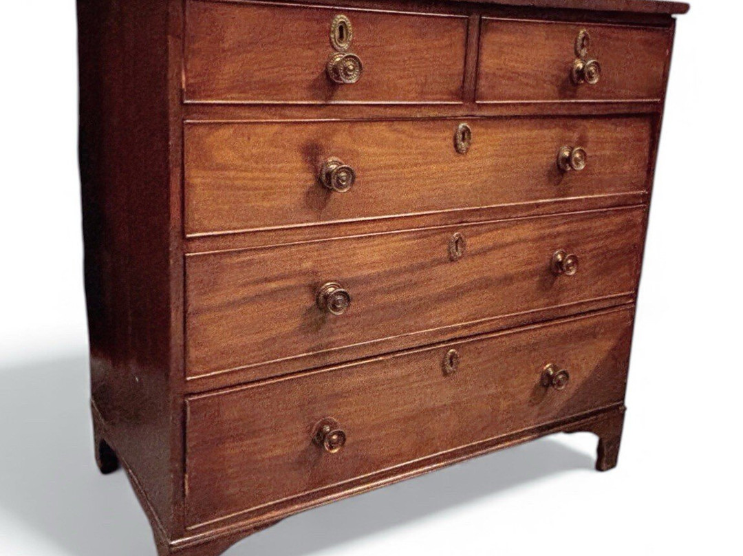 Antiques & Chic-哈洛必去景点