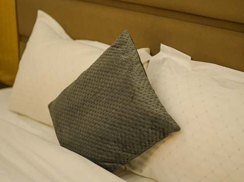 苏黎世度假村主图