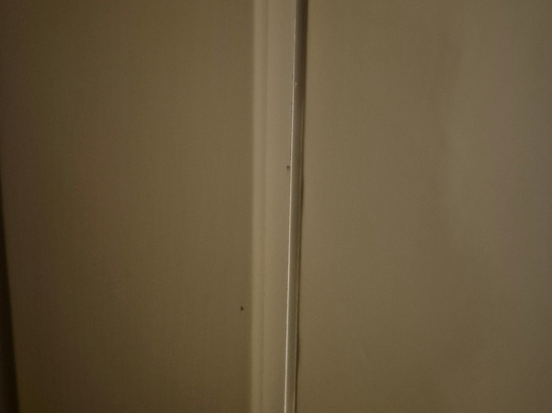 Hotel Ereza Mar - Adults Only主图