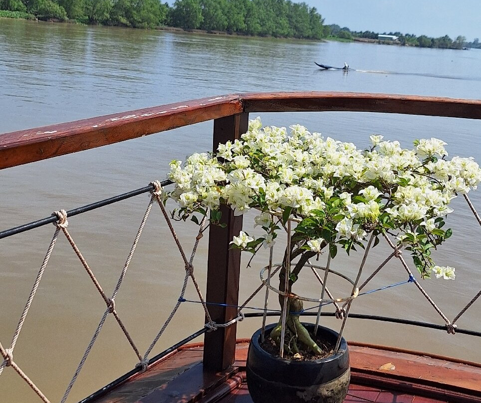 Mekong Eyes Cruise-芹苴必去景点