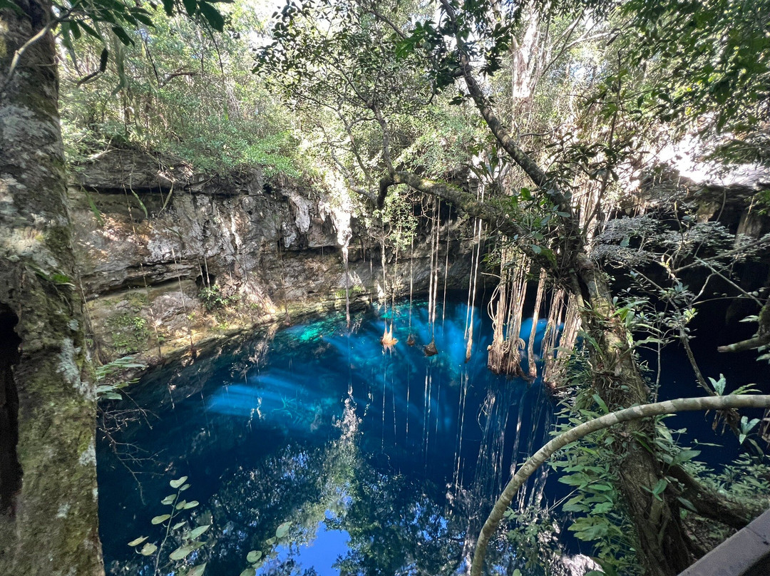 Experiencia Privada en Cenote Exclusivo-巴利亚多利德必去景点