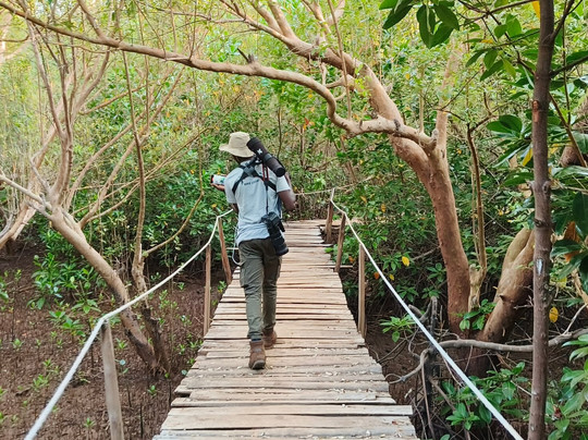Terek Birding Tours-瓦塔木必去景点