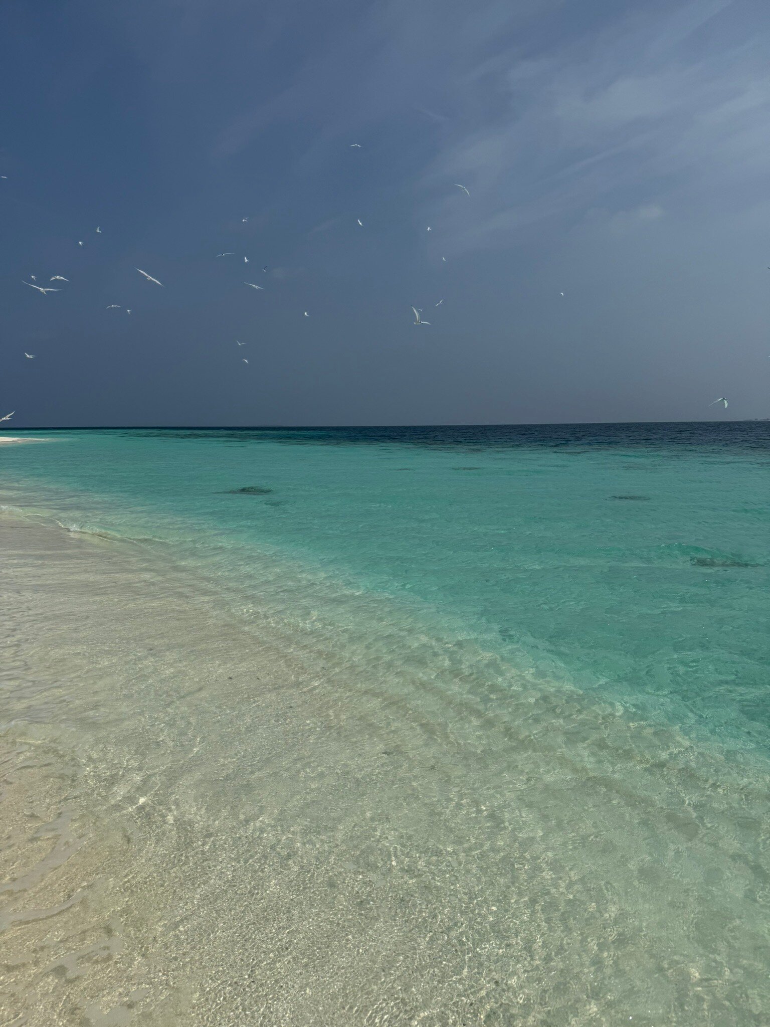 甘格西岛度假村-官方