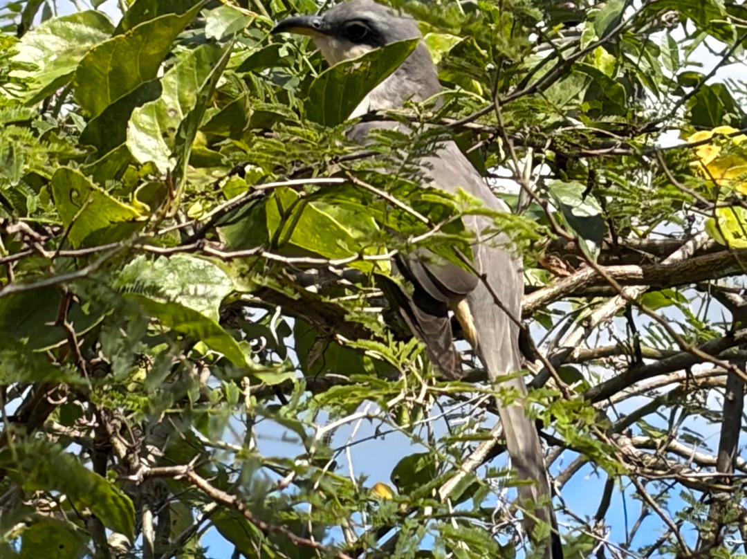 Booking Adventures-Sabana de la Mar必去景点