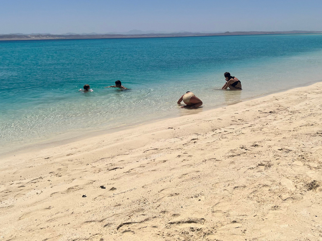 Wadi El Gemal National Park-马萨阿拉姆必去景点