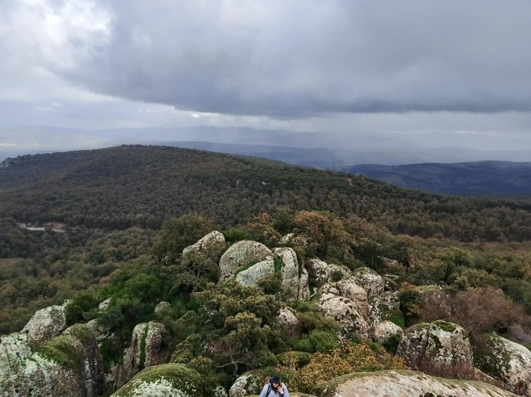 El Feija National Park-Jendouba必去景点