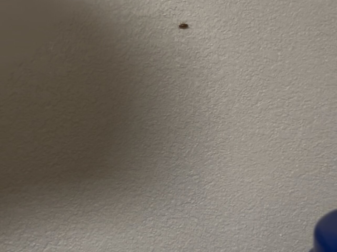 Red Roof Inn Buffalo - Hamburg/ I-90主图