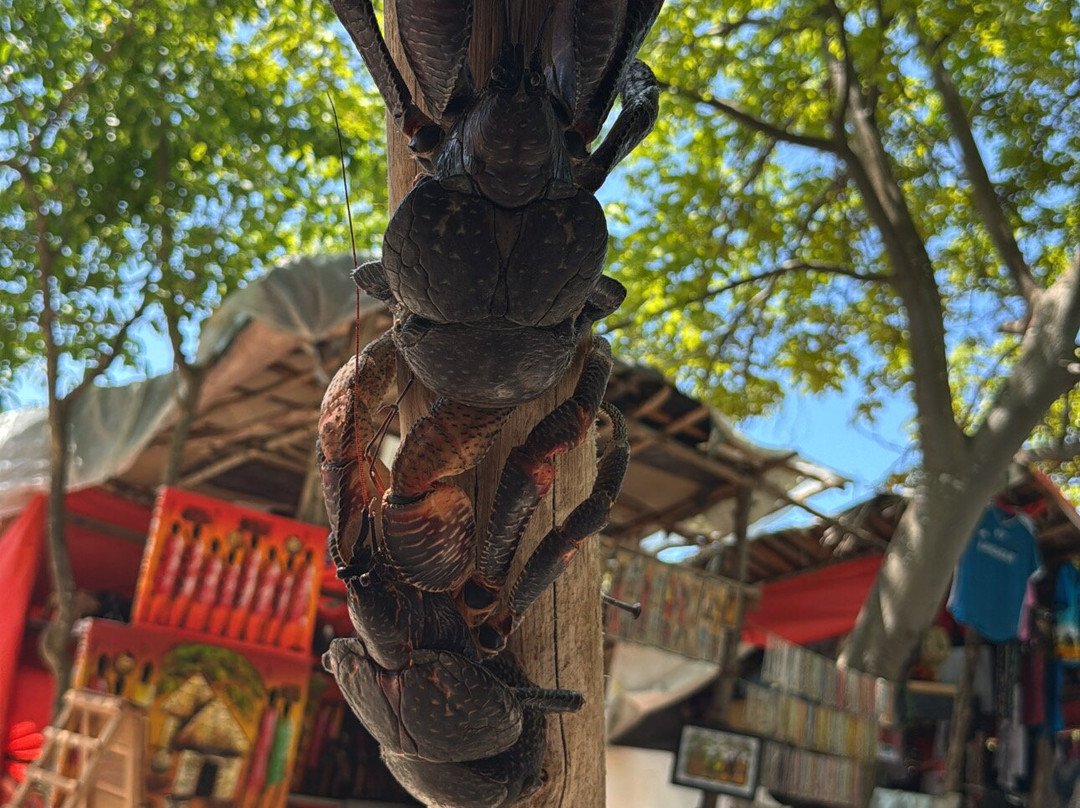 Salum Travel-Mikumi必去景点