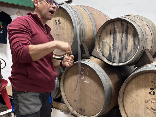 Bodega Finca Marañuela-La Orotava必去景点