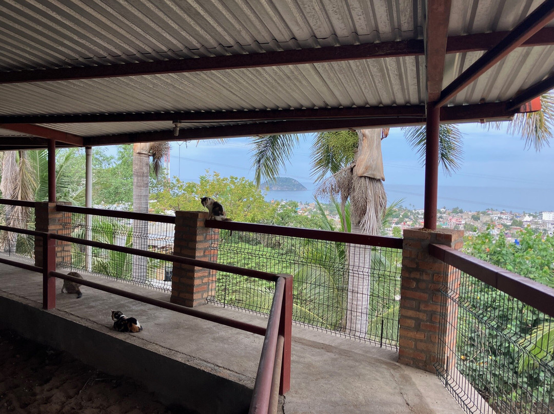 Jaltemba Equine Education Project (J.E.E.P.)-La Peñita de Jaltemba必去景点