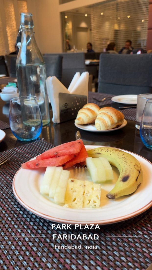 法里达巴德公园广场酒店-官方