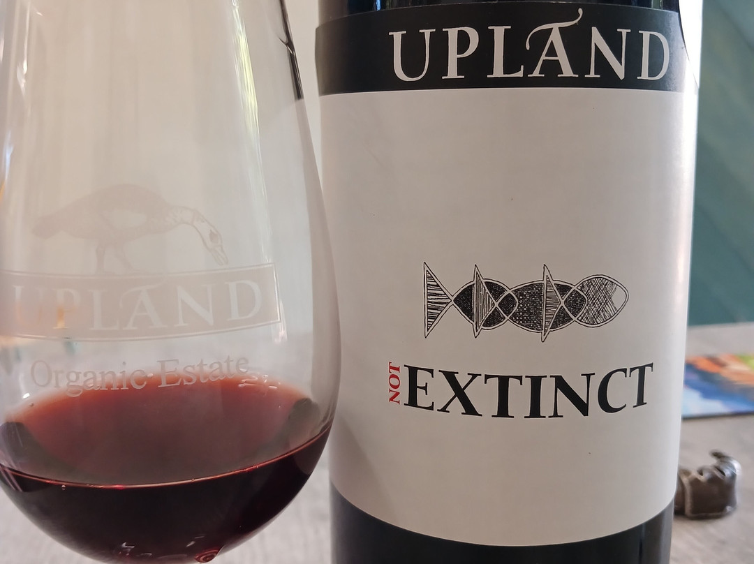 Upland Organic Wine-惠灵顿必去景点
