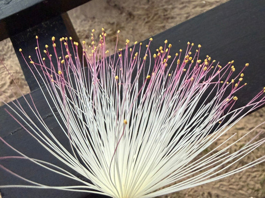 塔拉拉度假酒店主图