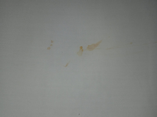 Holiday Inn Express & Suites Youngstown West - Austintown By IHG主图