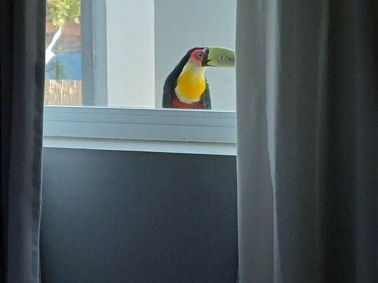 Hotel Sesc em Blumenau主图