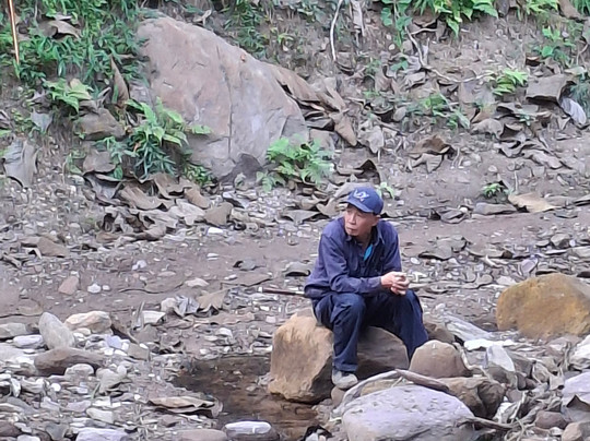 Mekong Elephant Park-北宾必去景点