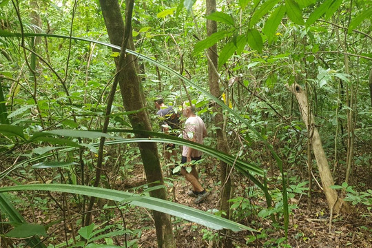 Ujung Kulon Ecotourism-Ujungjaya必去景点