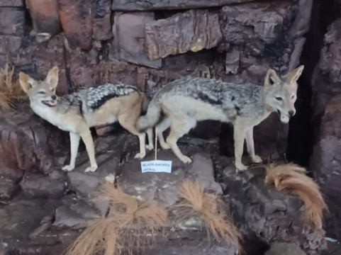 Interpretation Centre & Blyde Museum