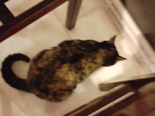 Sandıklı Termal Otel主图