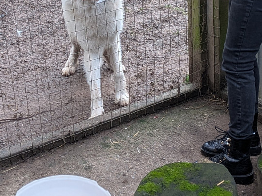 Hoo Zoo And Dinosaur World-特尔福德必去景点