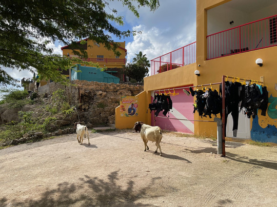 Playa Lagun-Lagun必去景点