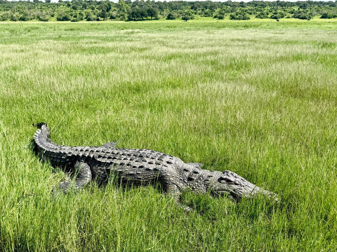 Bushtracks Africa Day Tours-李文斯顿必去景点