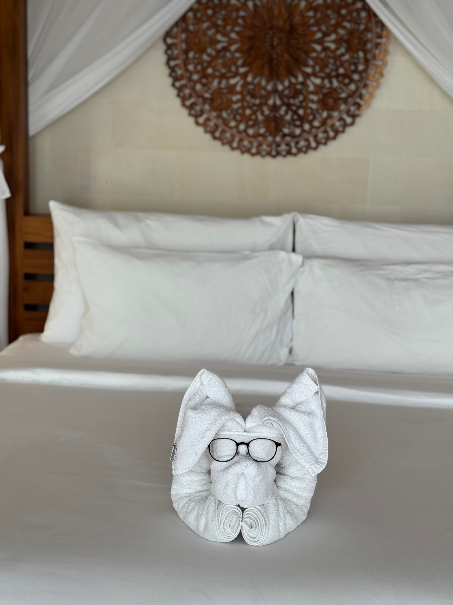 Cicada Resort Bali Ubud, Autograph Collection-官方