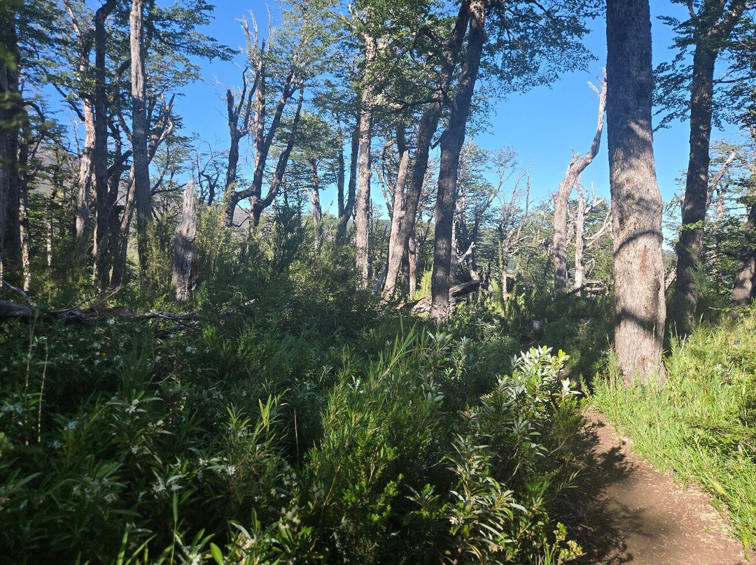 Pucon Birding-普孔必去景点
