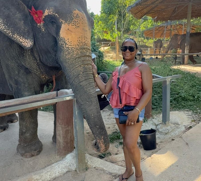 Phuket Elephant Care-奈通必去景点