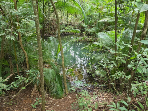 巴西利亚国家公园 (Agua Mineral)-巴西利亚必去景点