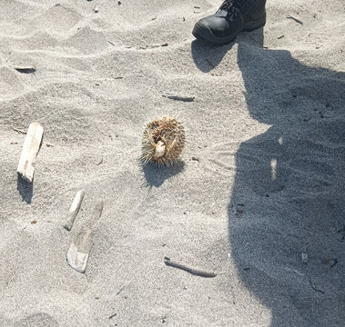 Parque Nacional Machalilla-Puerto Lopez必去景点