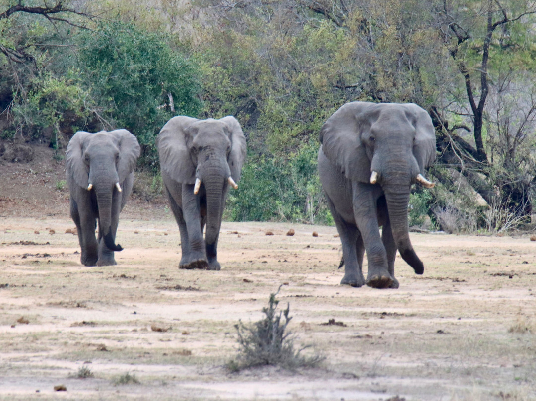 丛林漫步之旅酒店主图